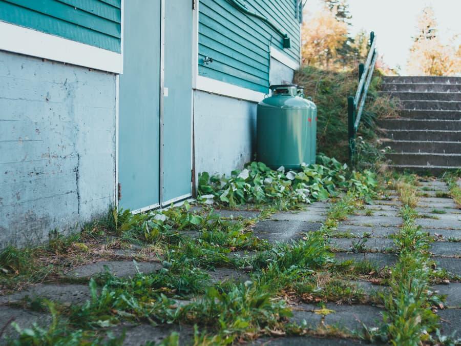 A neglected walkway with weeds growing through the pavers