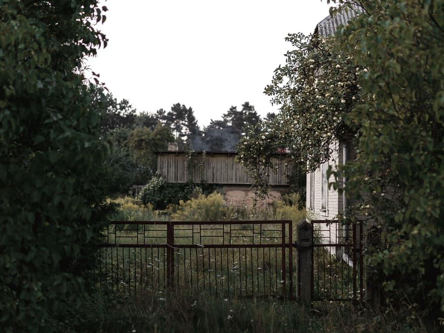An overgrown yard with tall grass swallowing a fence gate
